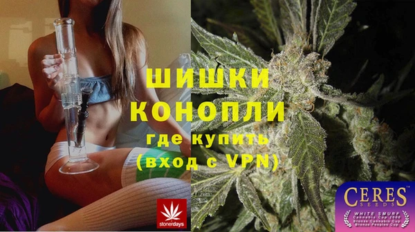 дживик Аркадак