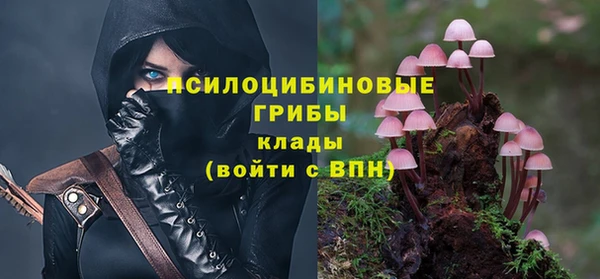 дживик Аркадак
